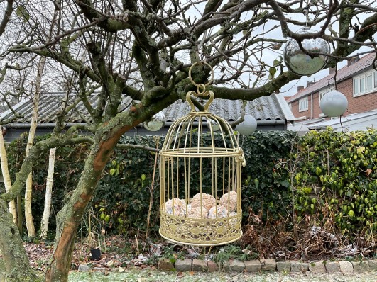 ballen in de boom