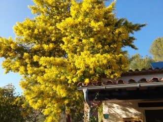 spanje